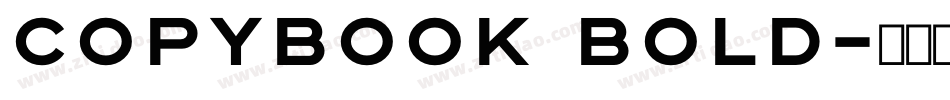 Copybook Bold字体转换